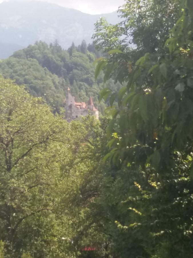 Pensiunea Vladut Bran  Exterior photo